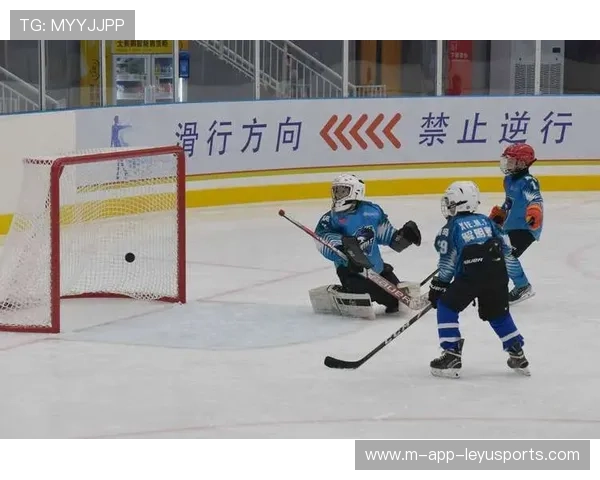 冰球门将用杆击球反击，帅到对手愣住