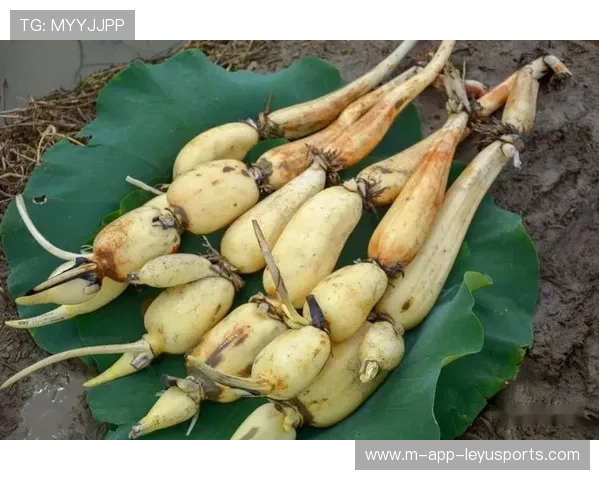 -º-§¦¾¦¼Àó¦¾-+¦++ßÊÚãÏ¦Ôú¦+½È¦¦¦-+¦Û¦+¥³